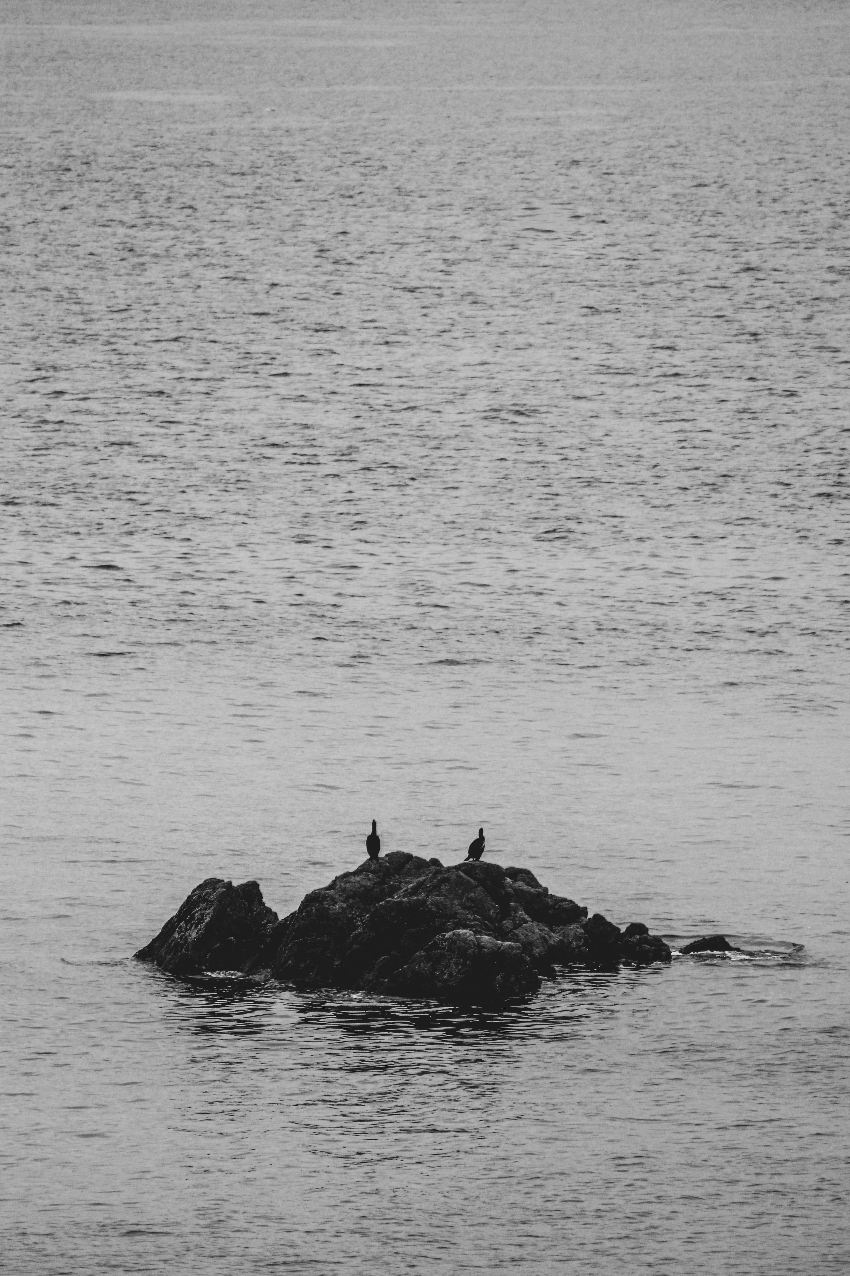 Photo by focalinsight