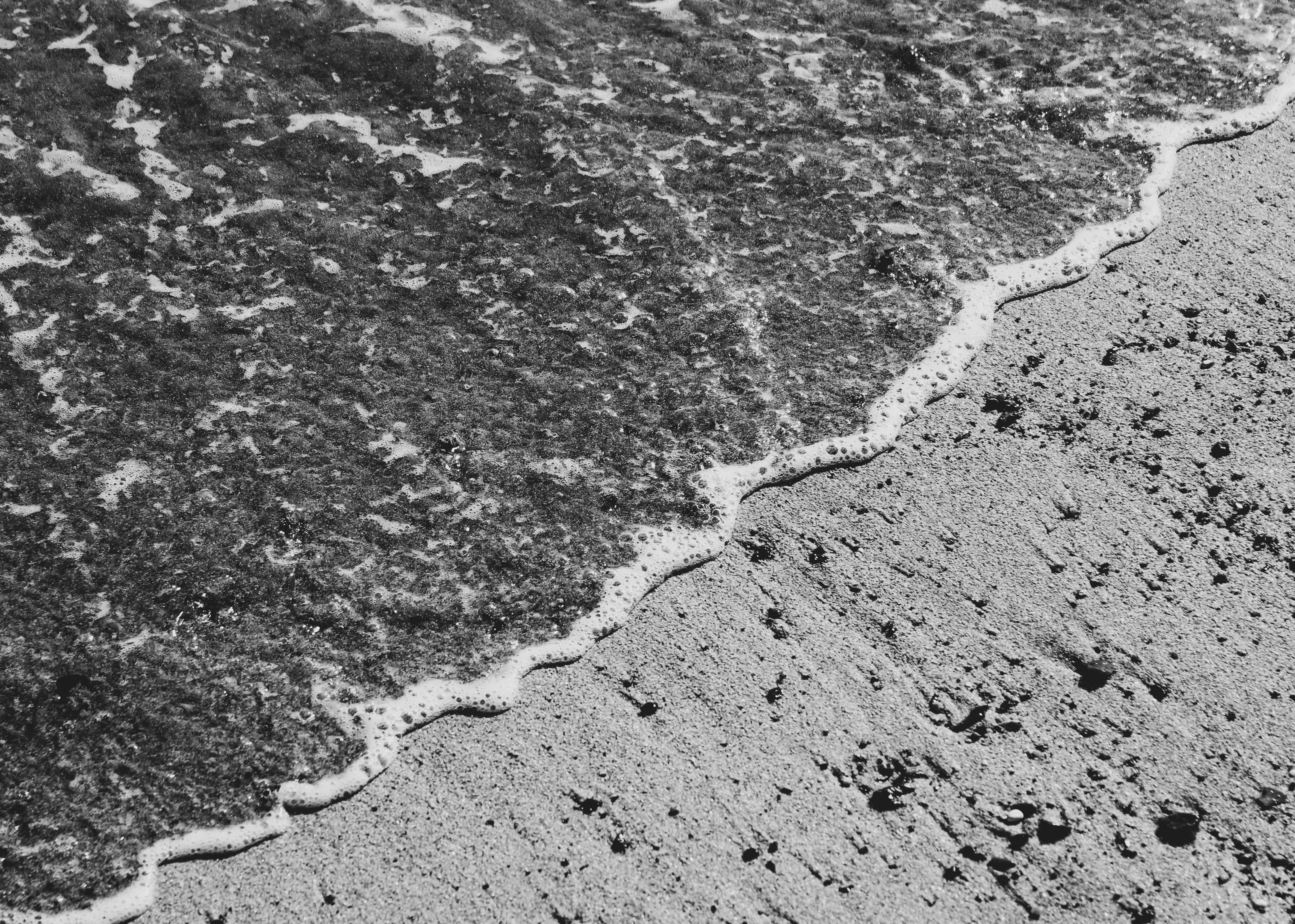 Photo by focalinsight