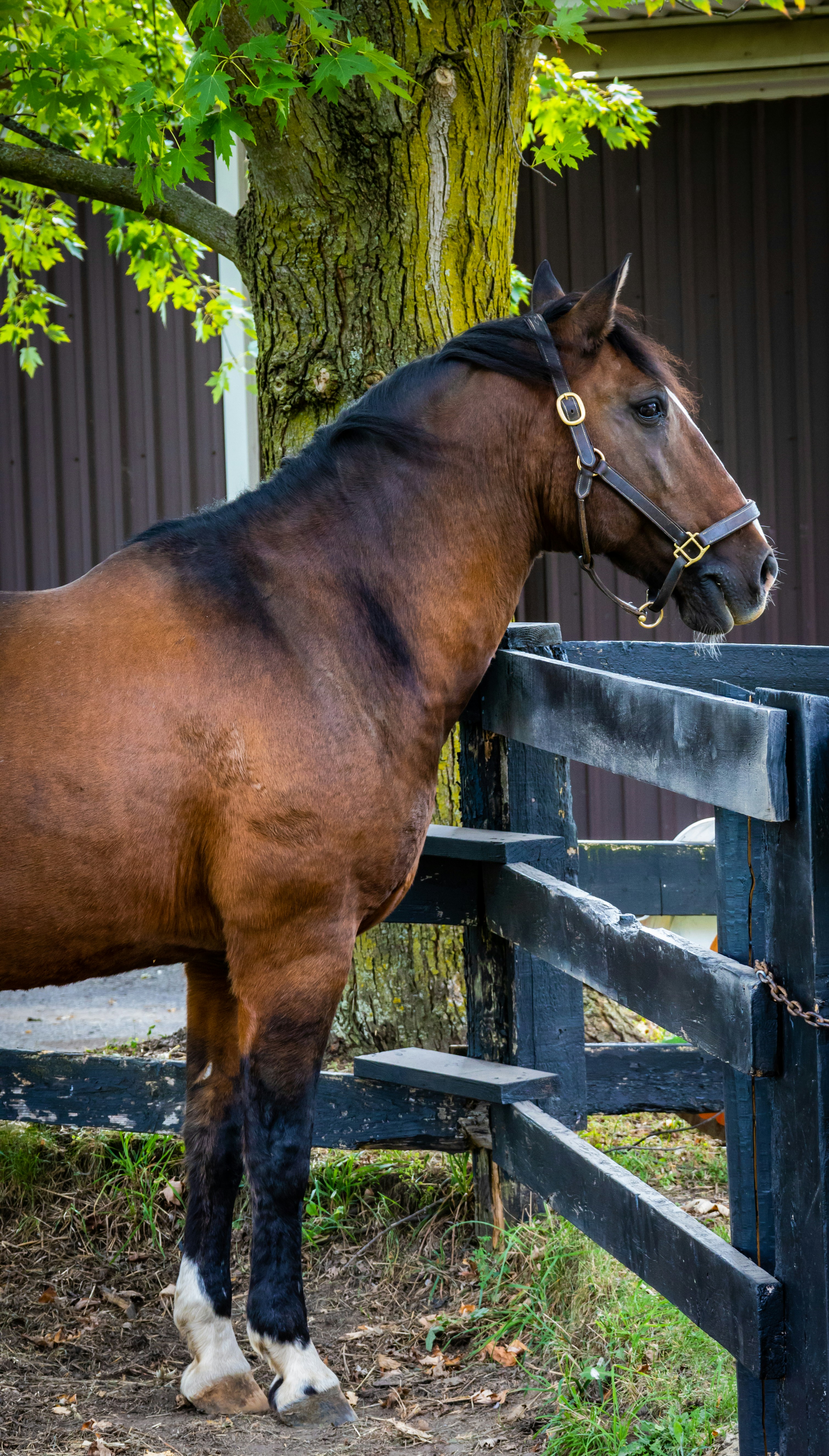 Photo by lifethroughalens