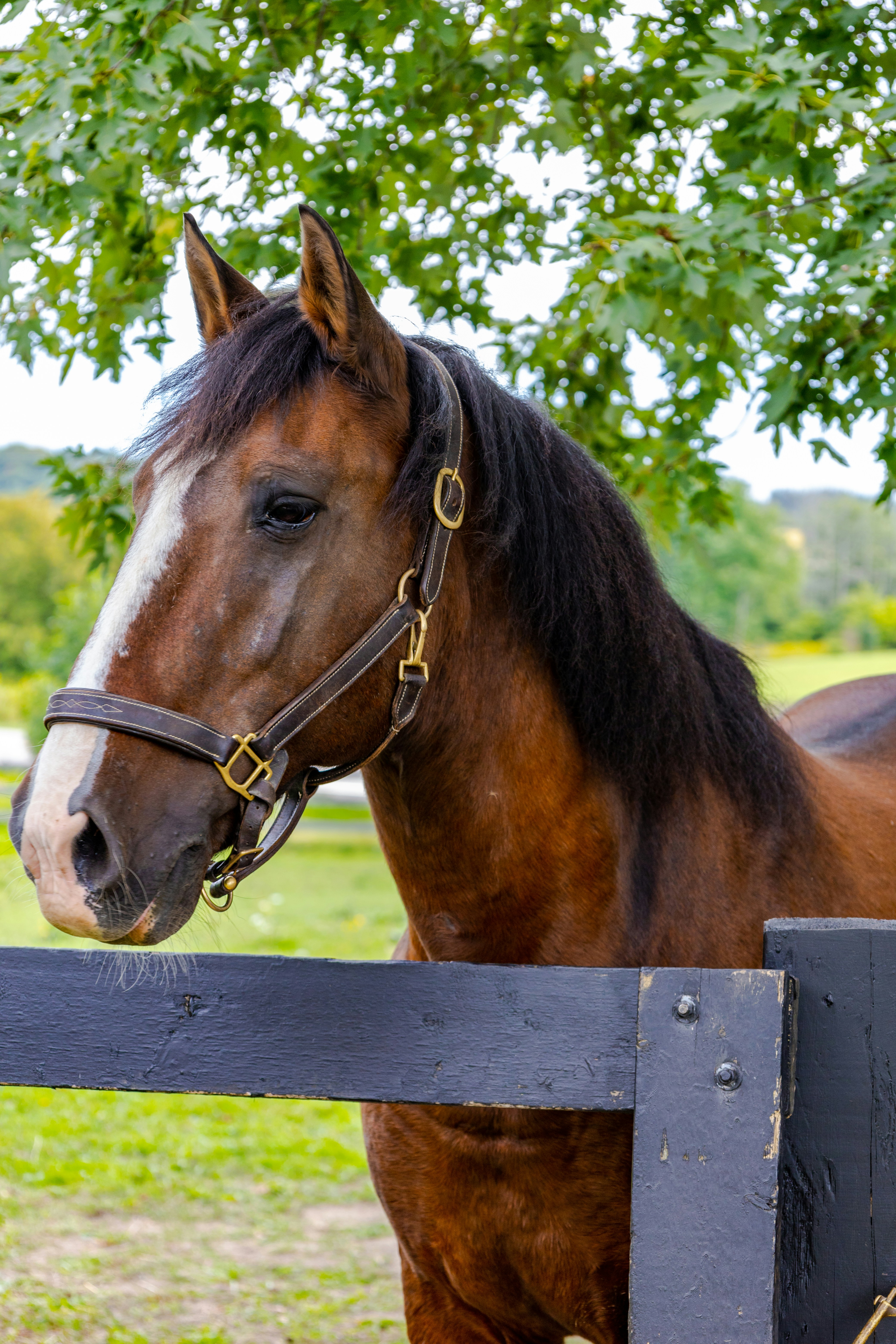 Photo by lifethroughalens