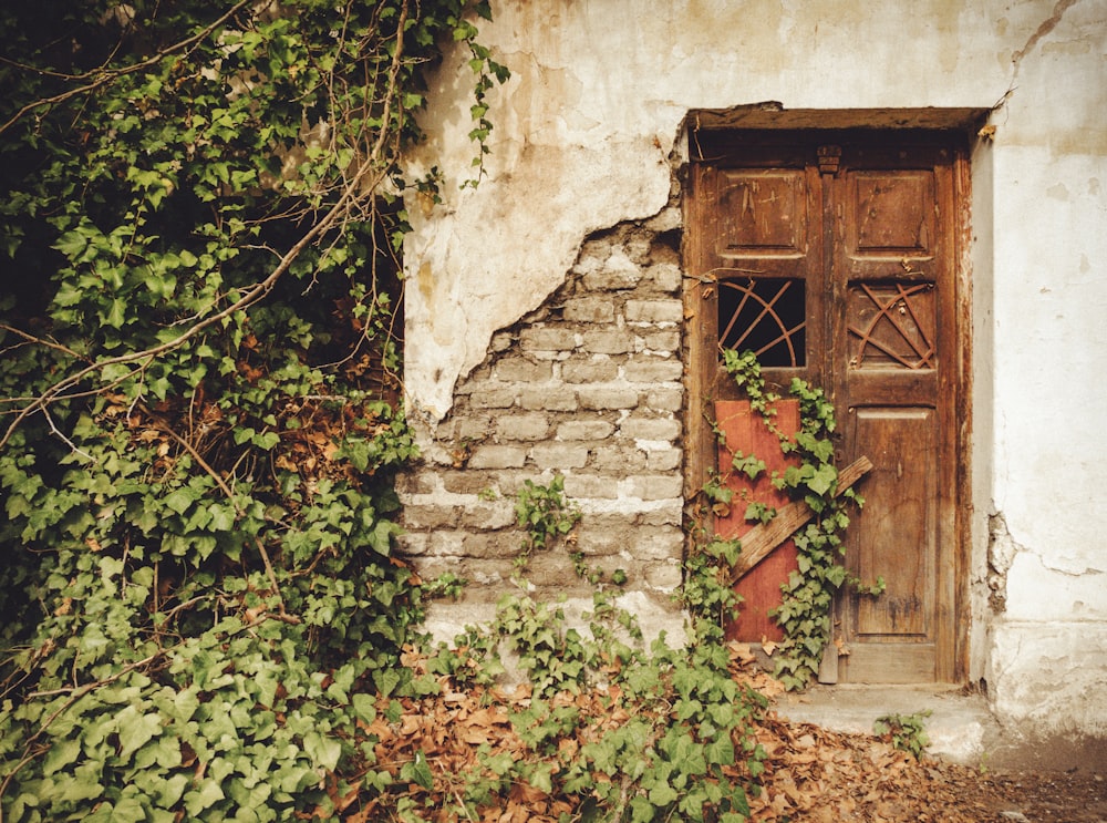 a door in a stone building