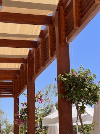 A wooden pergola frames a bright blue sky, with pink flowers and green foliage climbing around the wooden beams. White umbrellas are partially visible beneath the pergola, providing shade. The overall setting suggests a tranquil, outdoor environment, possibly a garden or a patio.