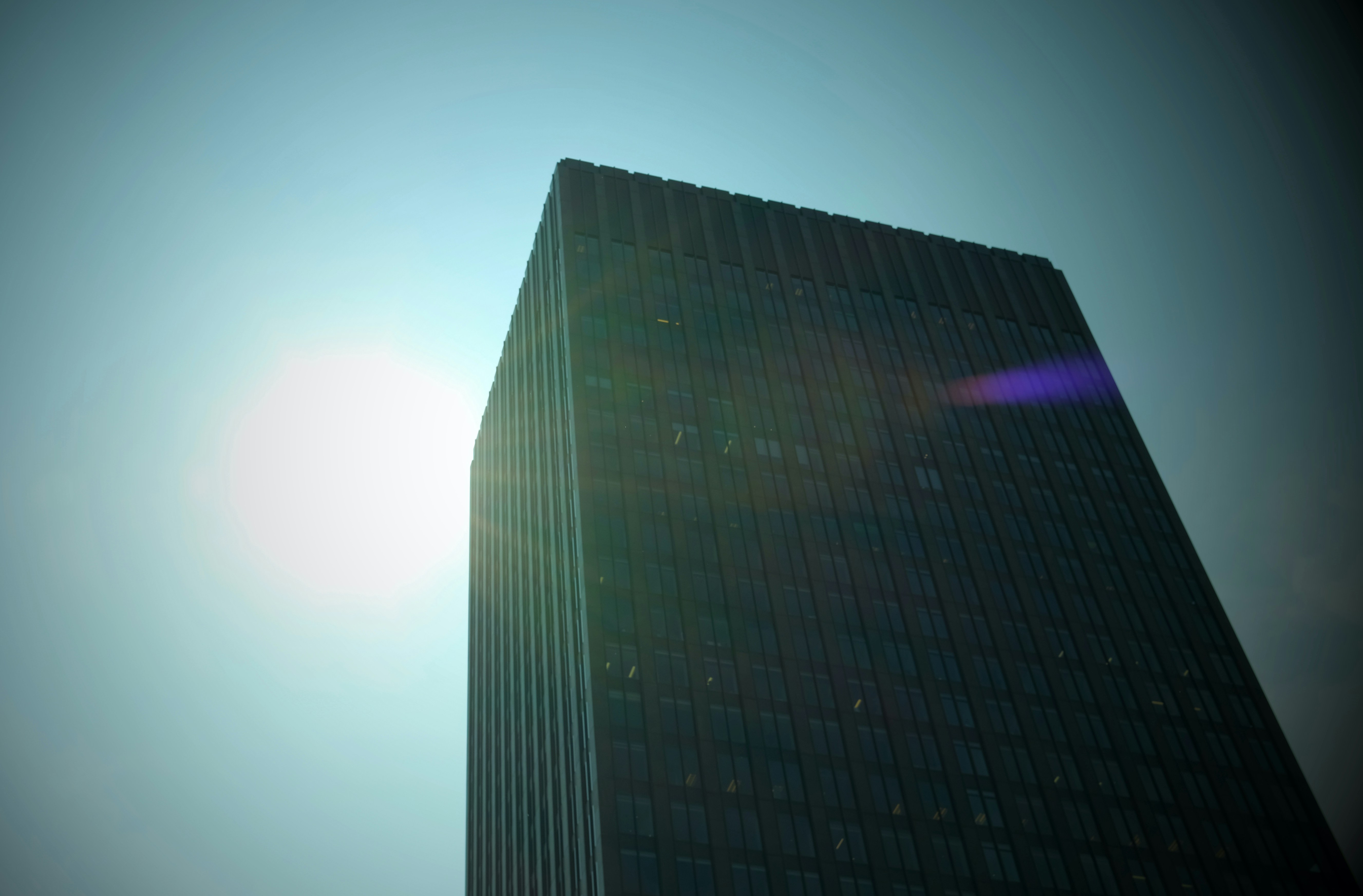 صورة المعرض