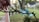 A hand holds a small branch with a caterpillar on it. The background showcases a blurred garden scene with green foliage, a few visible outdoor chairs in aqua blue, and a backyard setting.