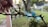 A hand holds a small branch with a caterpillar on it. The background showcases a blurred garden scene with green foliage, a few visible outdoor chairs in aqua blue, and a backyard setting.