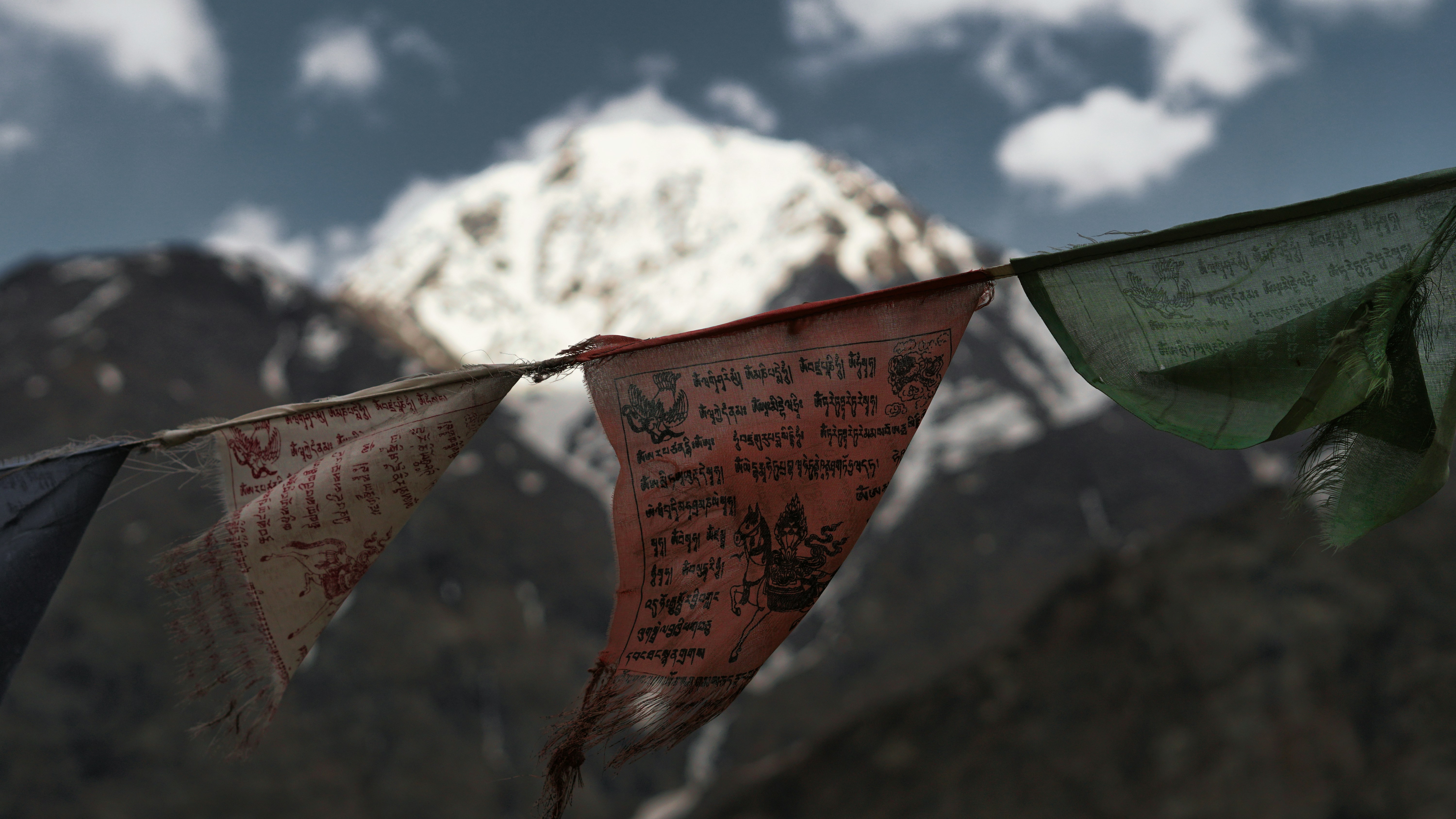 a red sign on a leaf