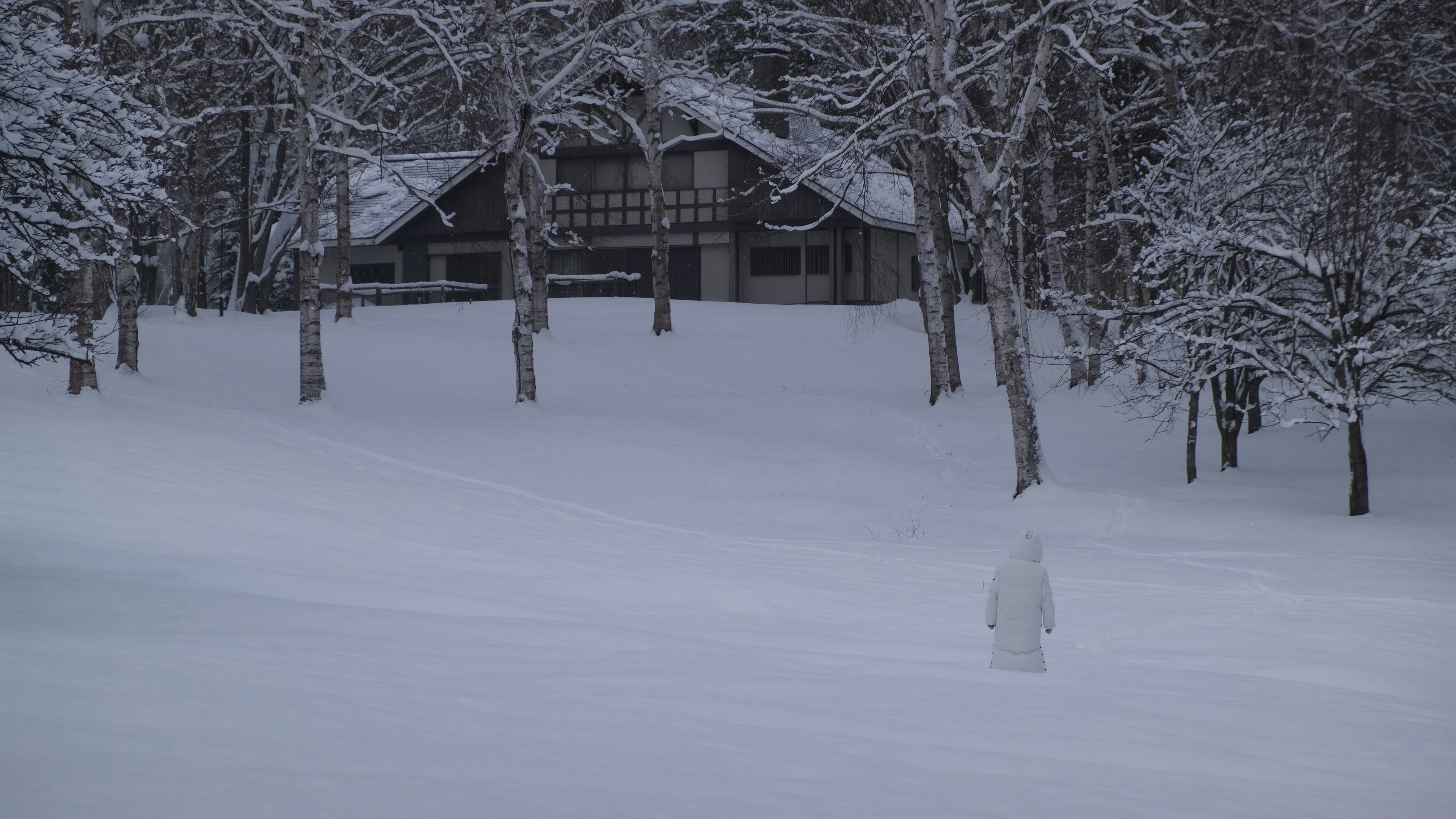 Photo by cloudcocoland