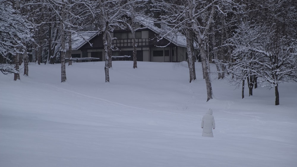 a house covered in snow