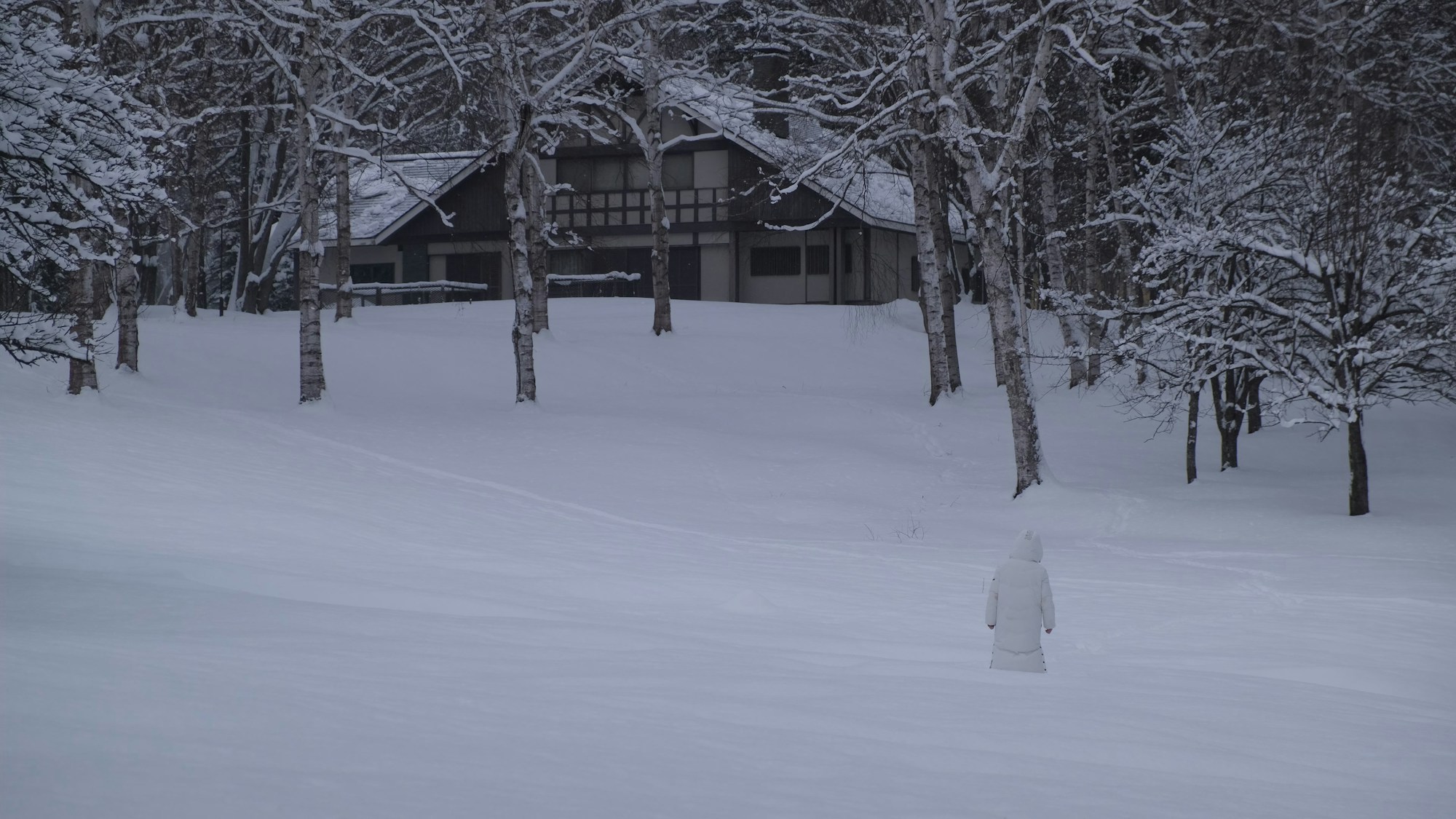 Exploring Kushiro: A Local's Guide