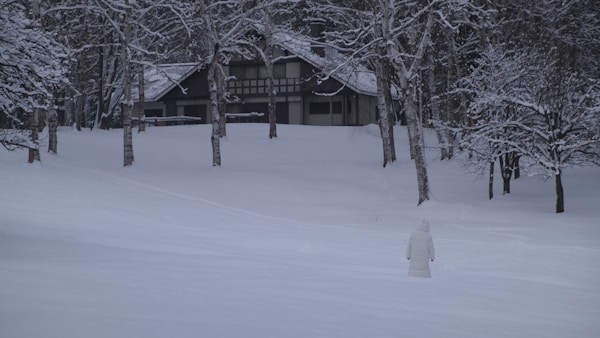 Exploring Kushiro: A Local's Guide