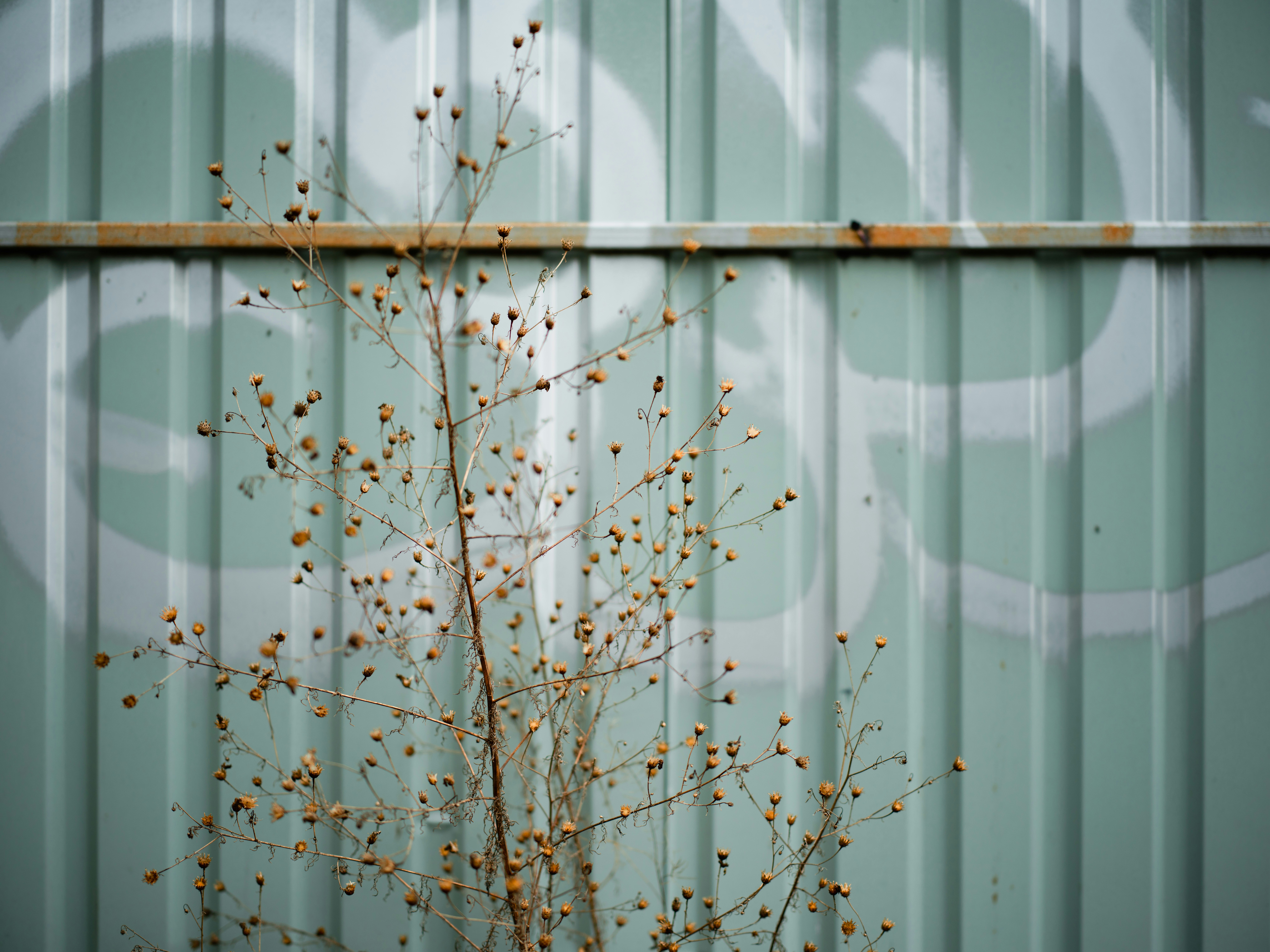 Photo by egorkomarov