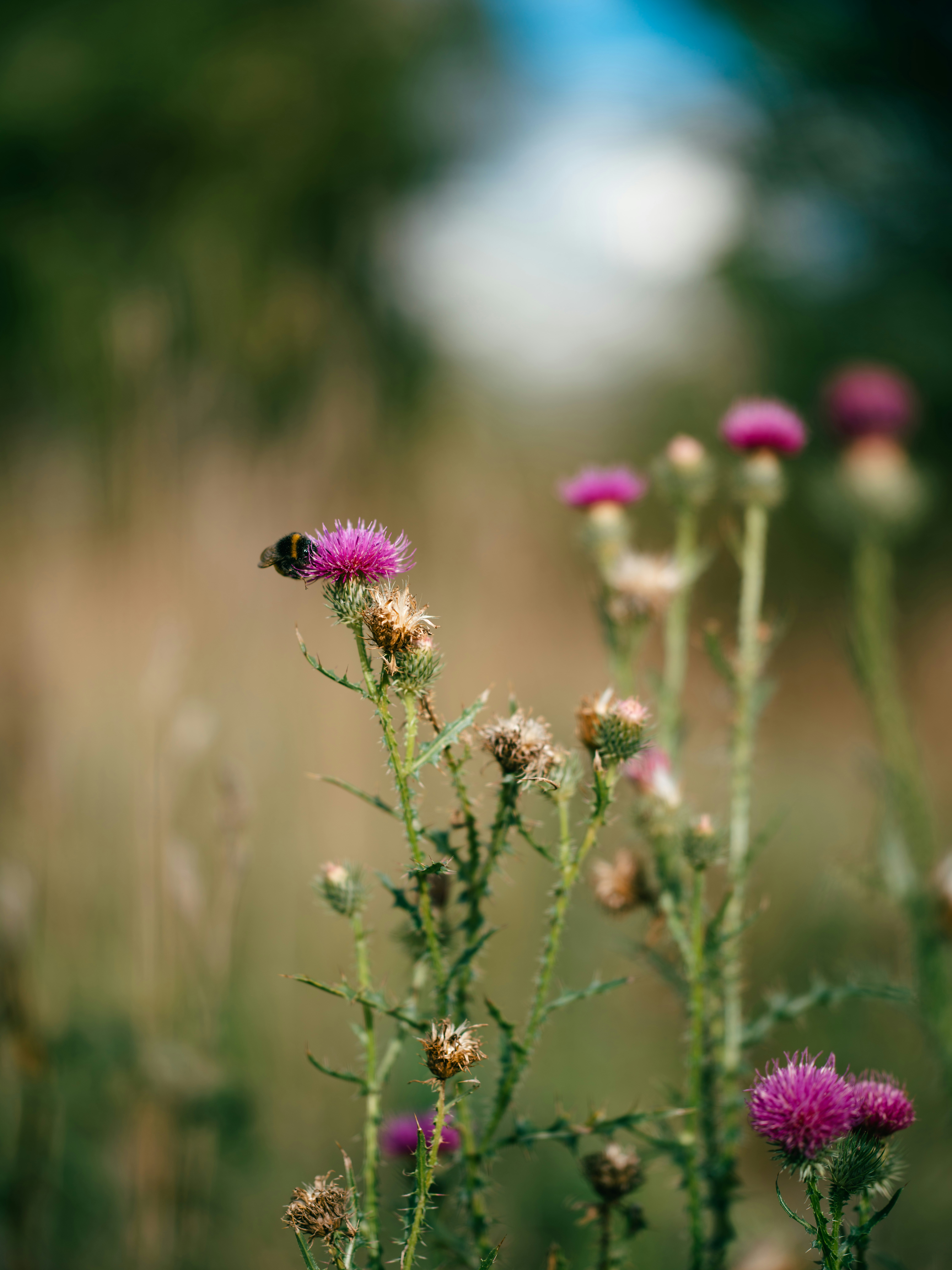 Photo by egorkomarov