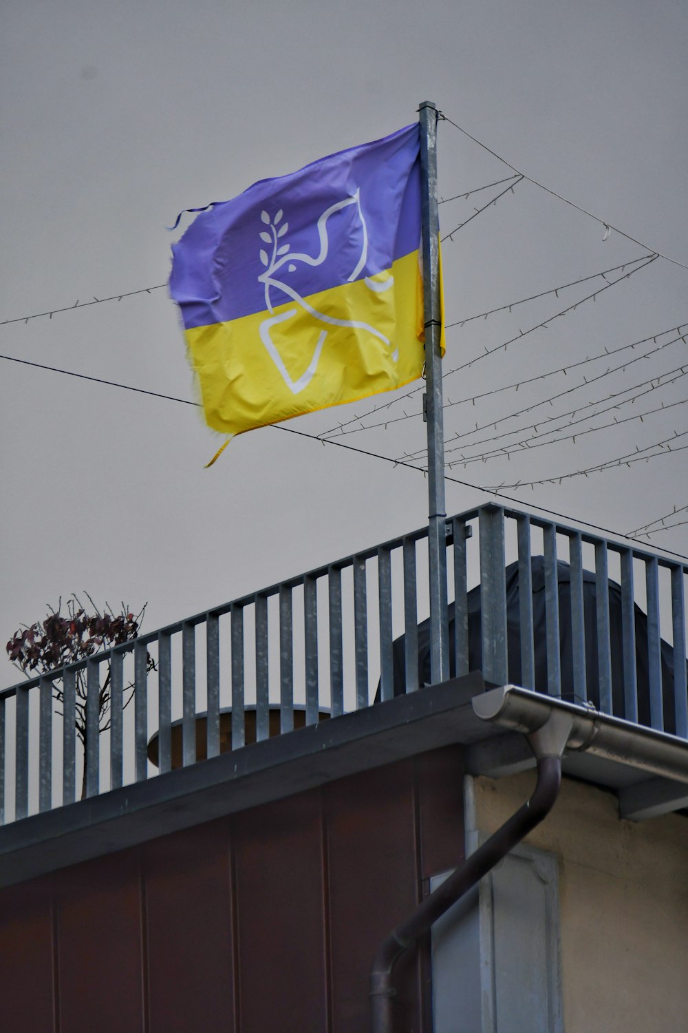 a flag on a pole