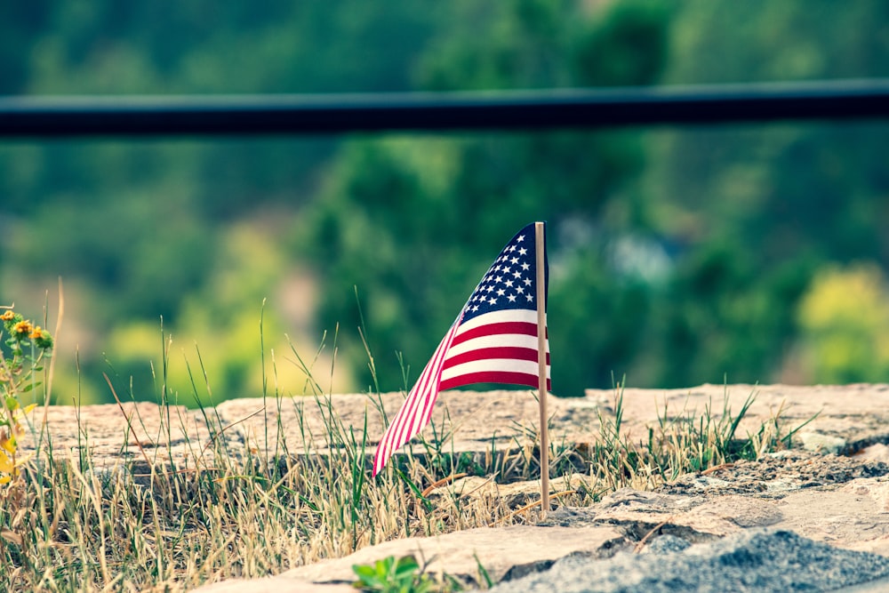 a flag on a pole