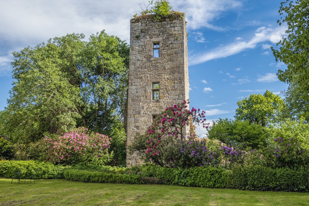 una torre de piedra rodeada de arbustos y árboles
