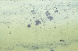 A textured surface with a pale green background displaying widespread patches of rust and scattered small black speckles. Thin black lines also traverse the surface, potentially indicating scratches or markings.