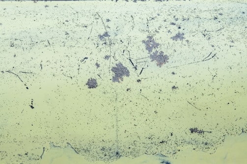 A textured surface with a pale green background displaying widespread patches of rust and scattered small black speckles. Thin black lines also traverse the surface, potentially indicating scratches or markings.