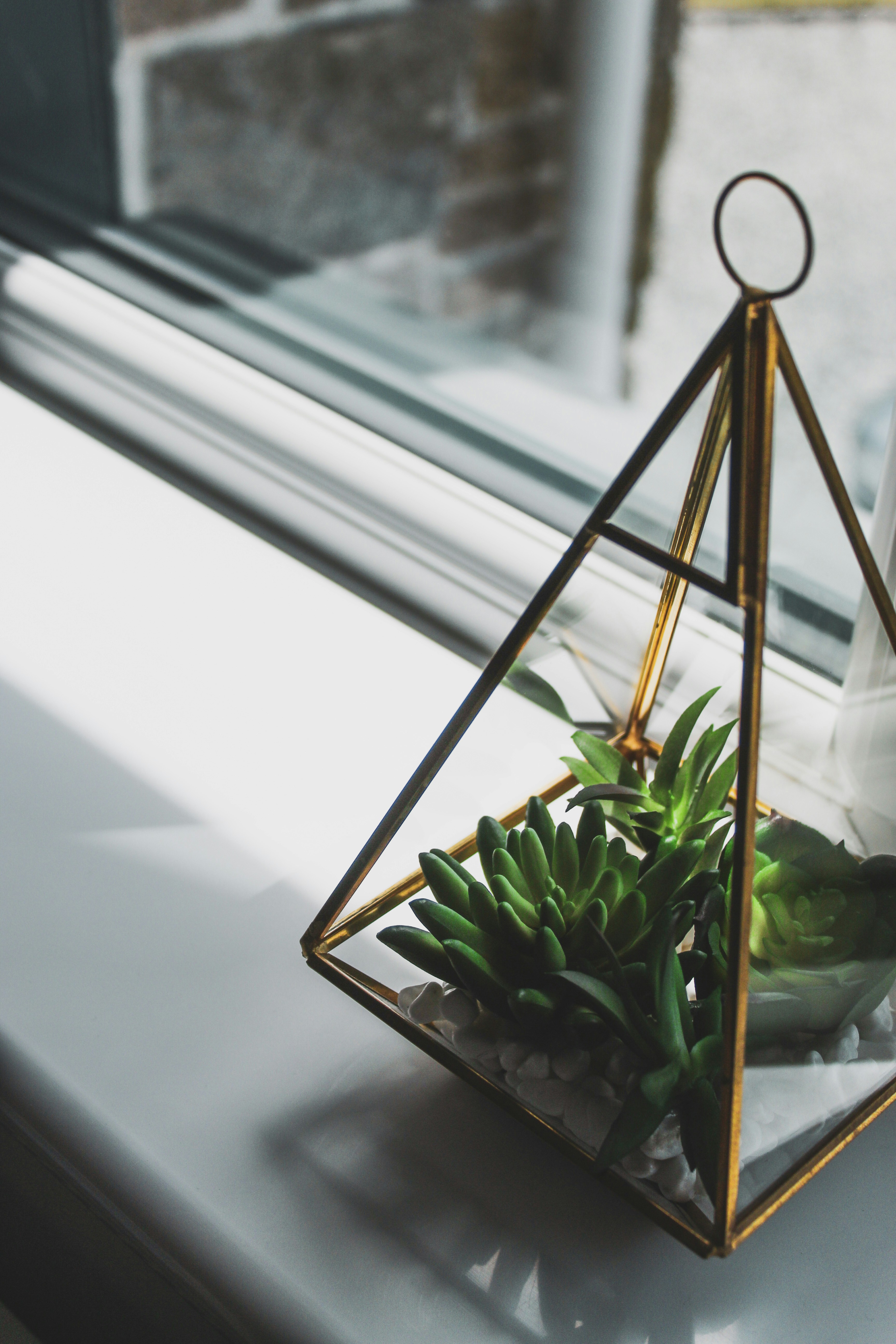 Photo by focalinsight