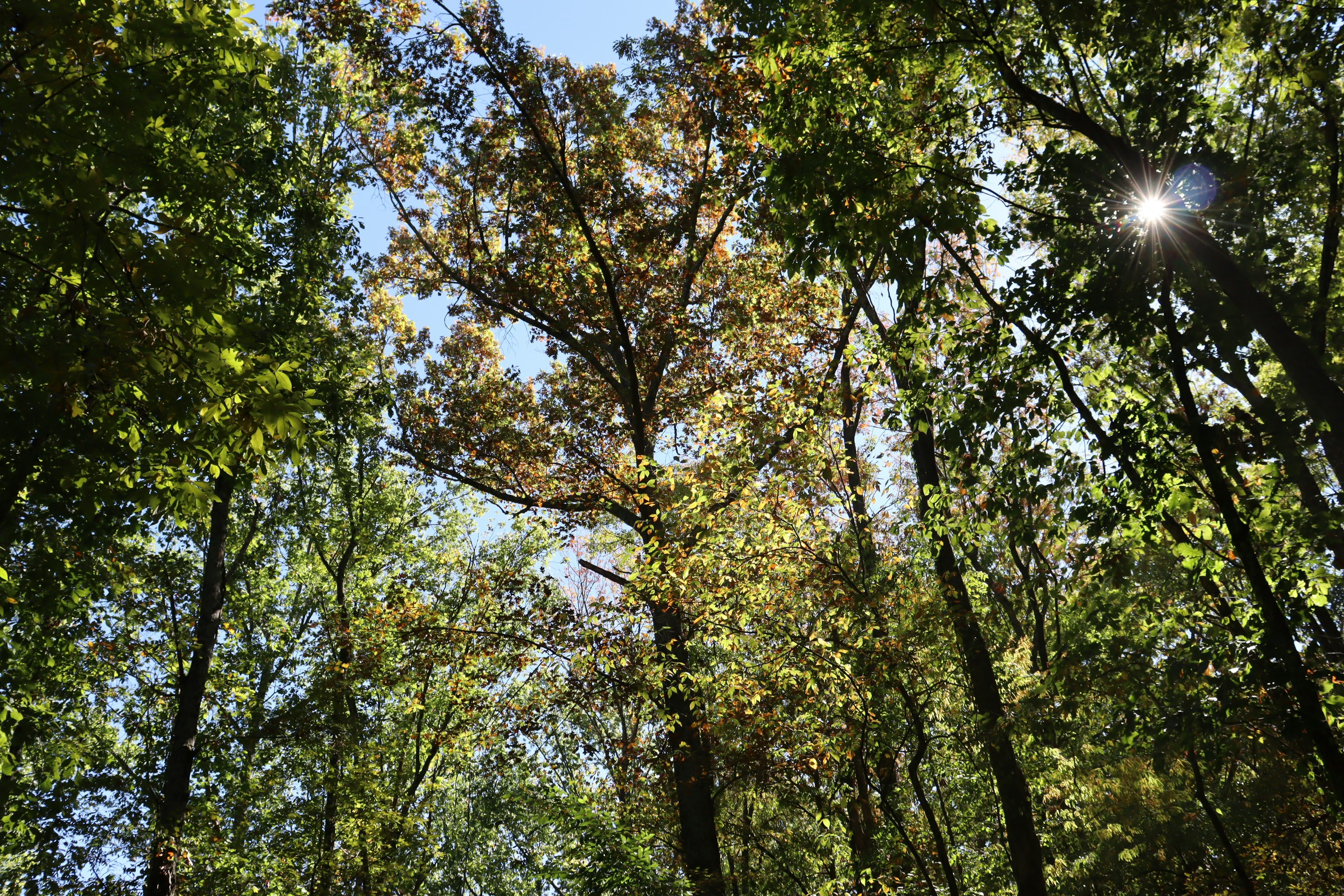 Photo by sierra_williams00