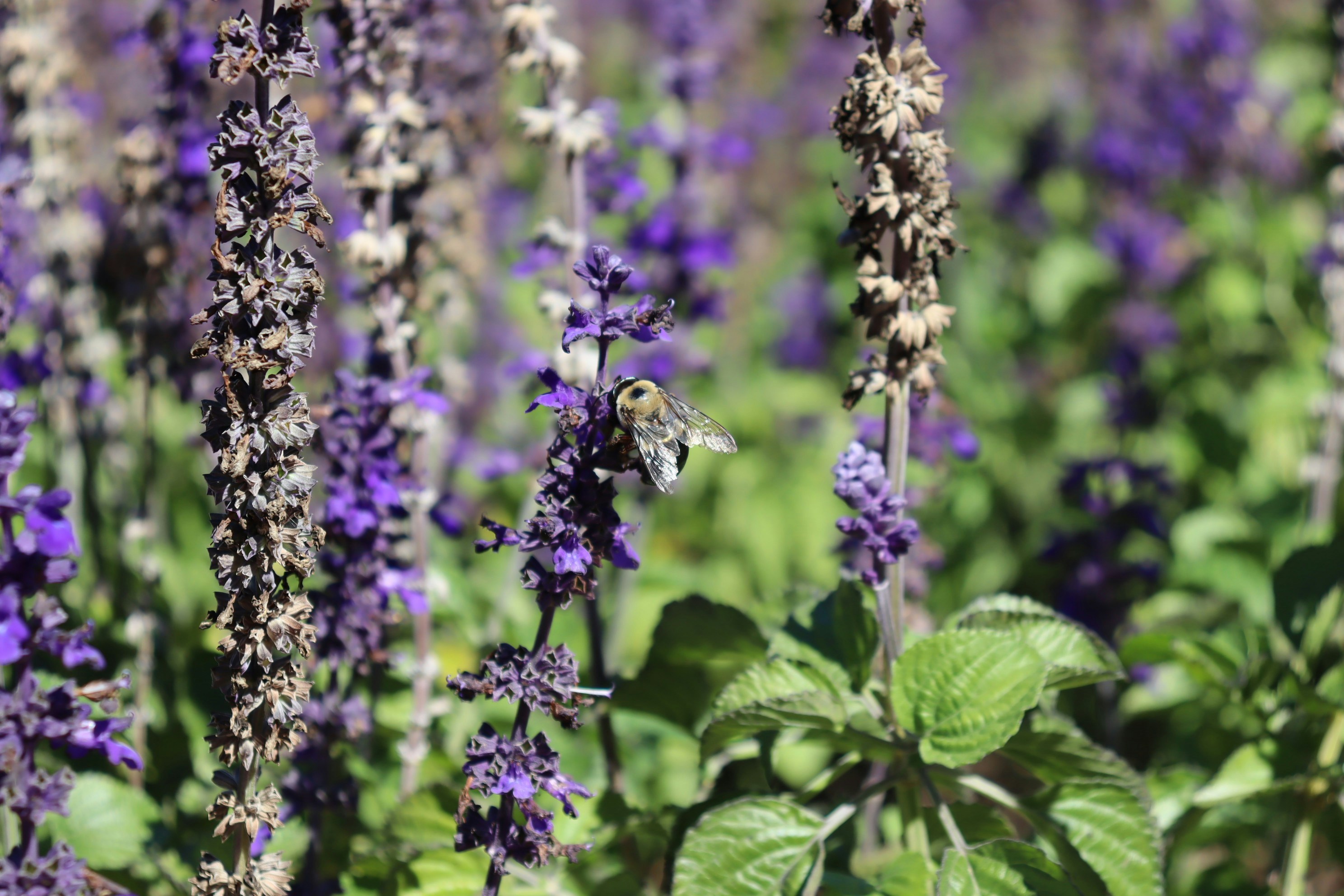 Photo by sierra_williams00