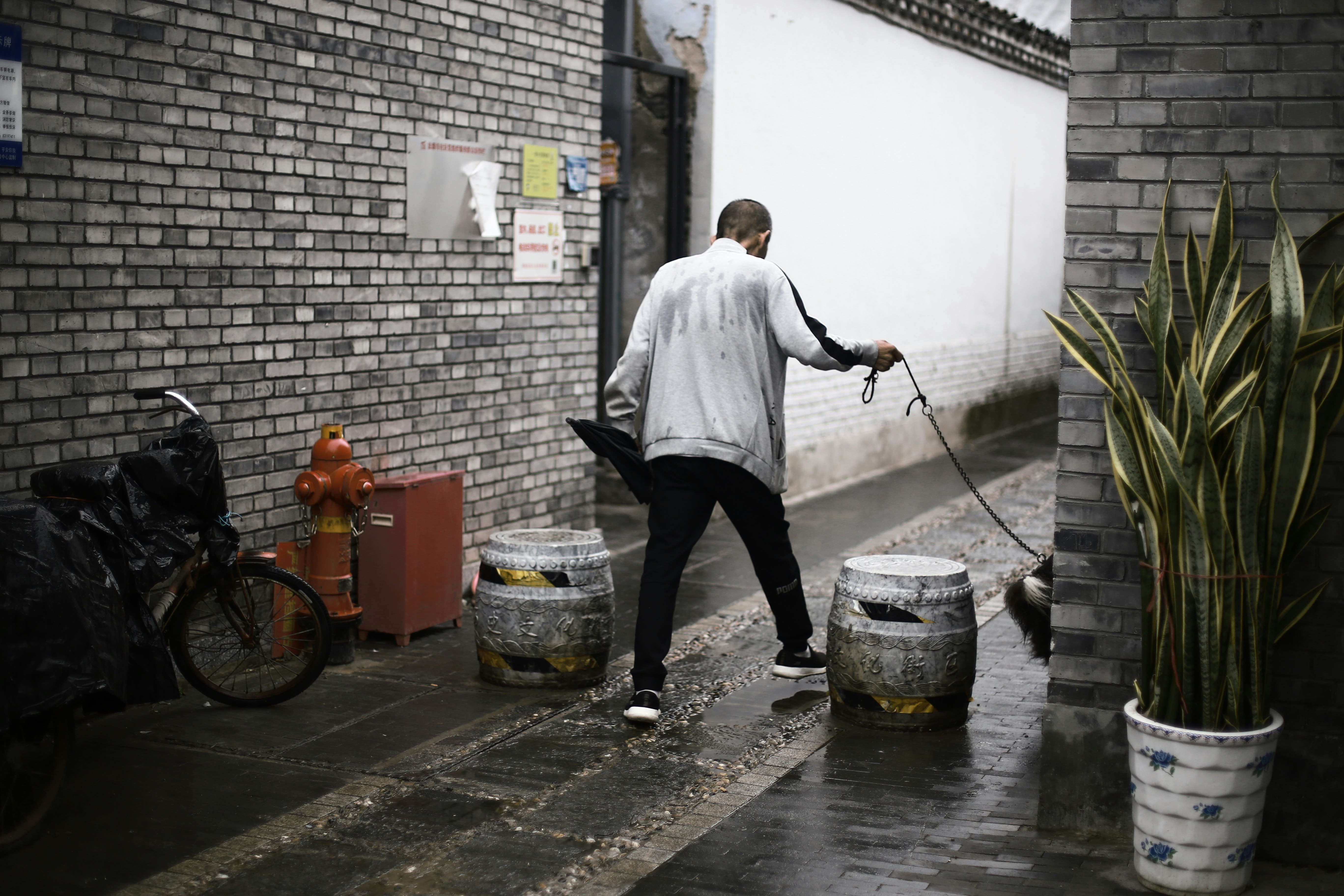 a man walking a dog on a leash
