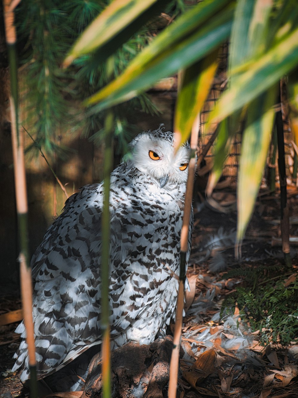 a bird standing on a tree branch