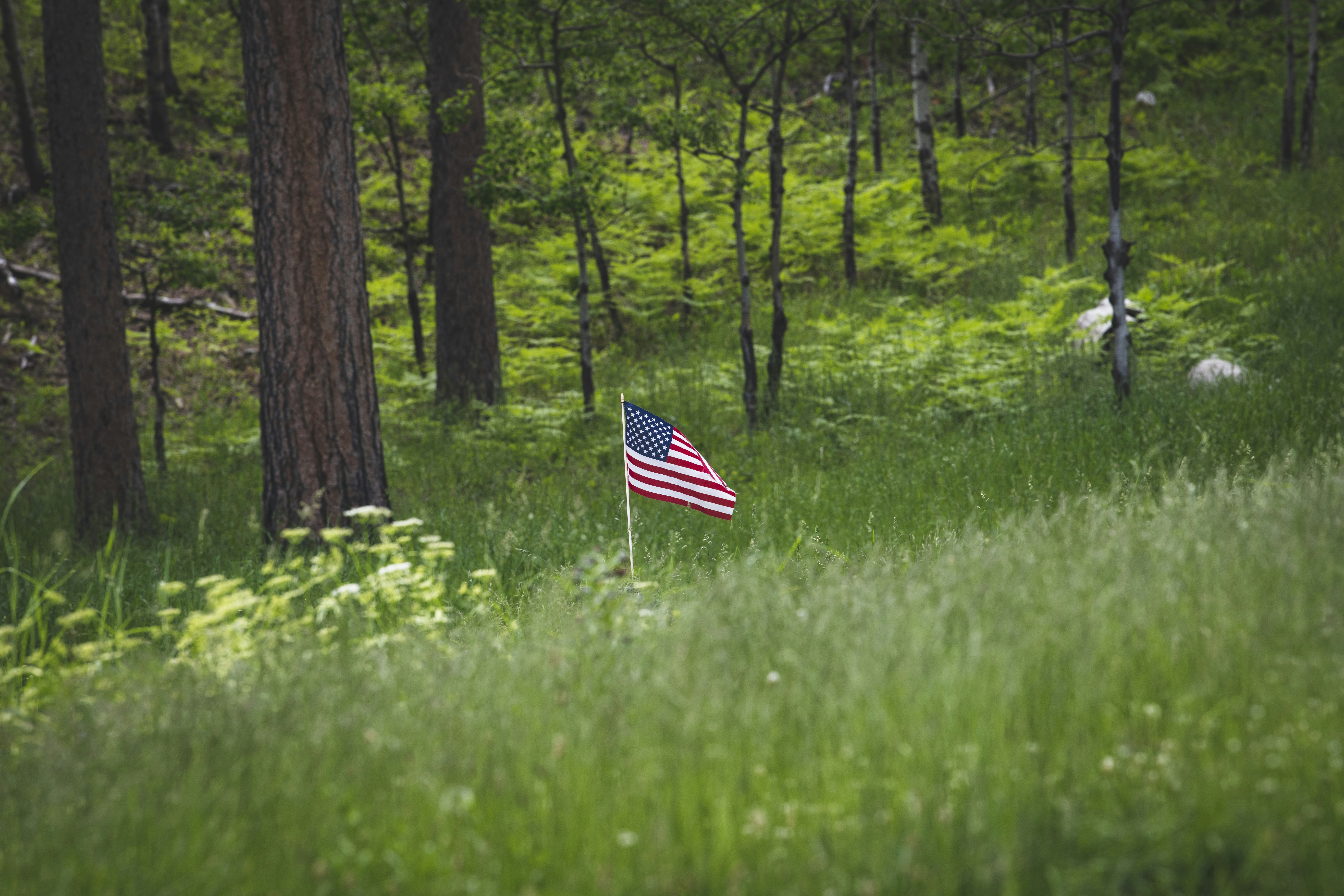 a flag in a grassy area