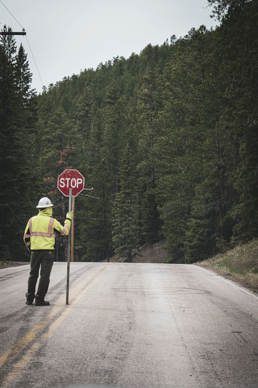 Traffic controller with a stop sign on a forest road