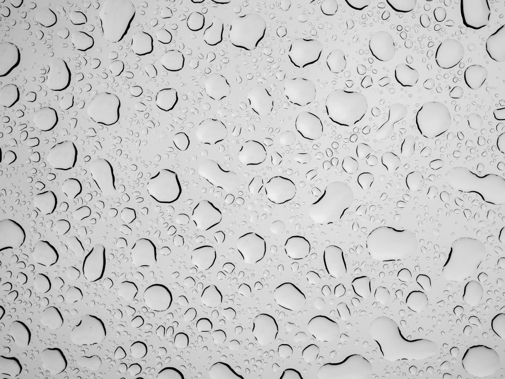 a close up of water droplets