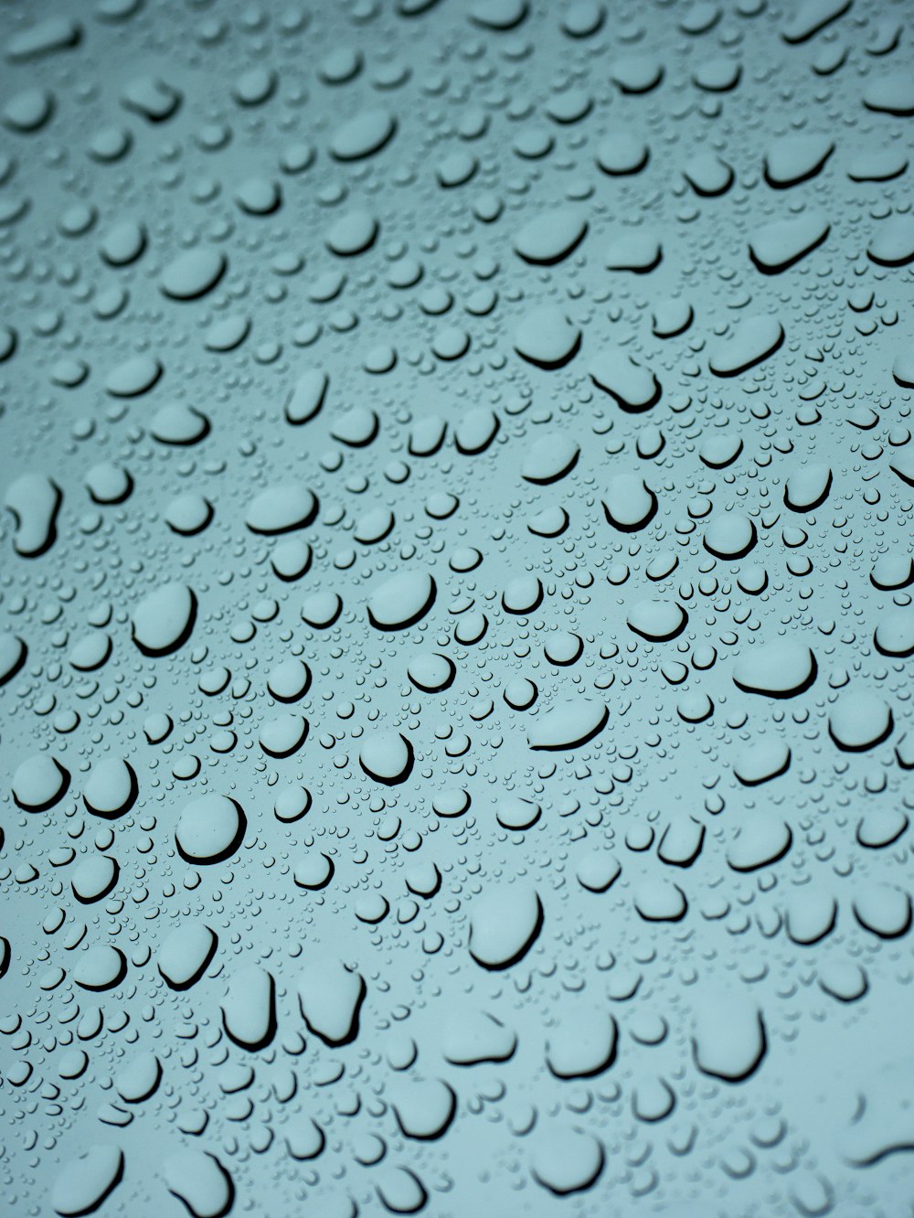 water drops on a window