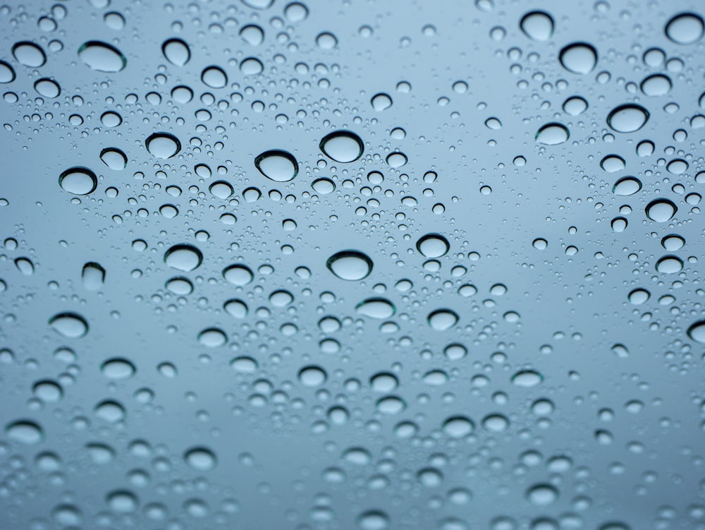 water drops on a window