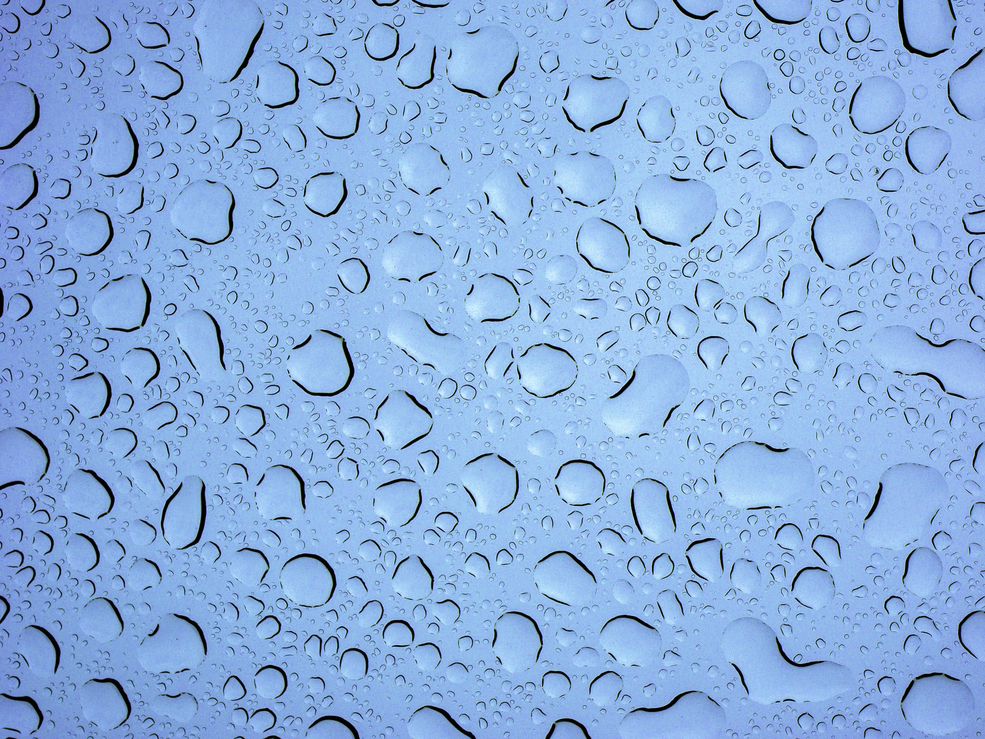 water droplets on a window