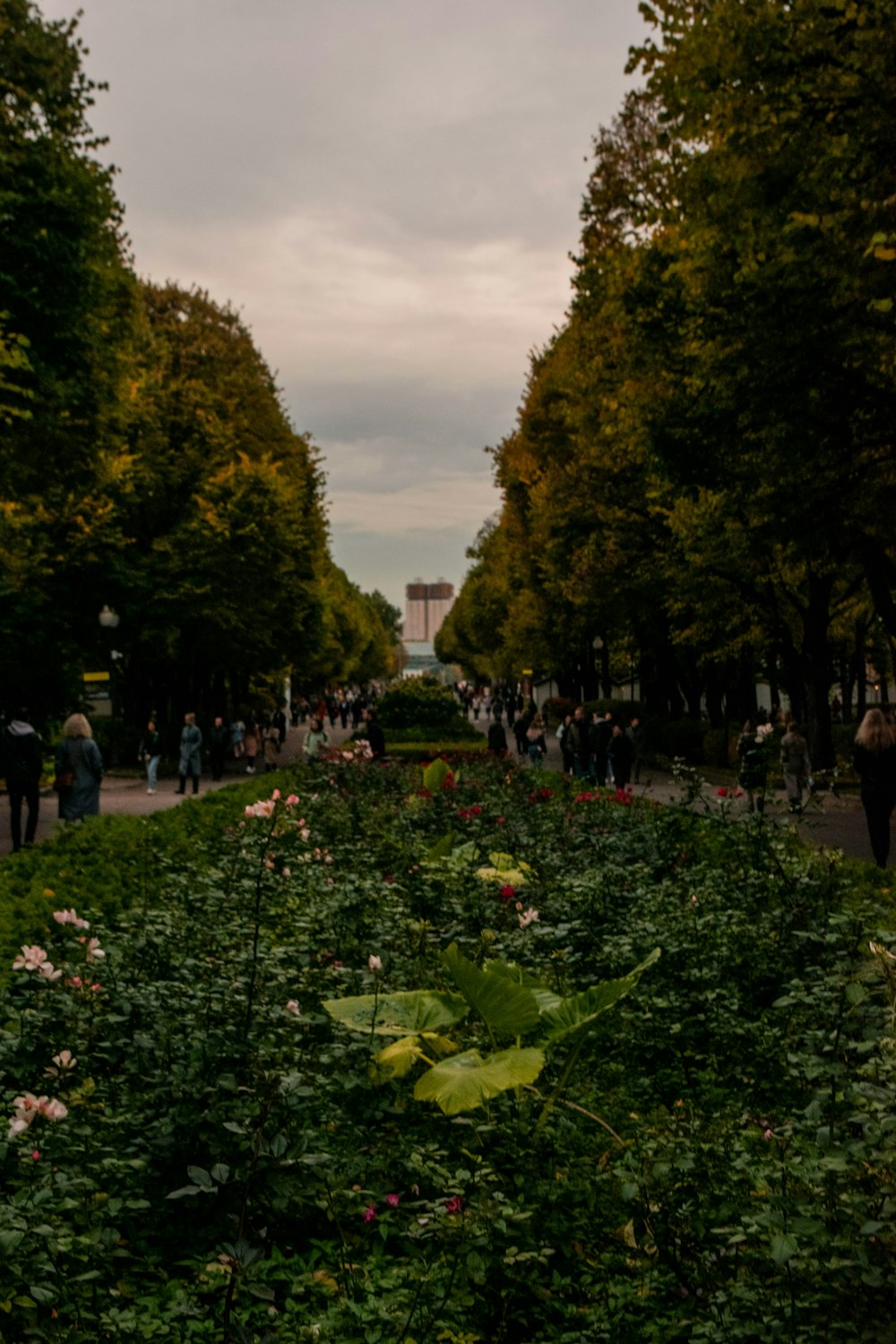 a group of people walking in a park with flowers and trees