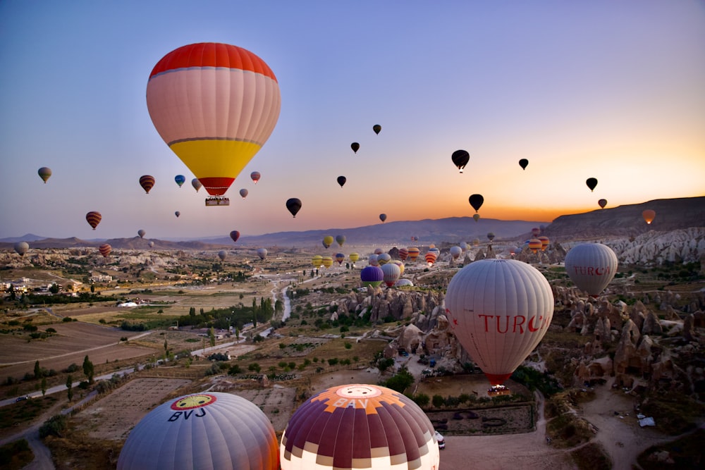 a group of hot air balloons in the sky