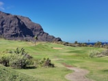 A lush green golf course is set against a backdrop of rugged cliffs under a clear blue sky. Several palm trees and shrubs dot the landscape, adding to the tropical atmosphere. The ocean can be seen in the distance, enhancing the scenic beauty.