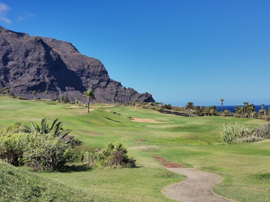 A lush green golf course is set against a backdrop of rugged cliffs under a clear blue sky. Several palm trees and shrubs dot the landscape, adding to the tropical atmosphere. The ocean can be seen in the distance, enhancing the scenic beauty.