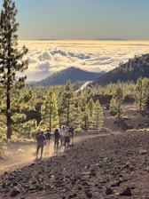 Volunteers clearing a forest trail surrounded by tall pine trees in the Central Cascades.