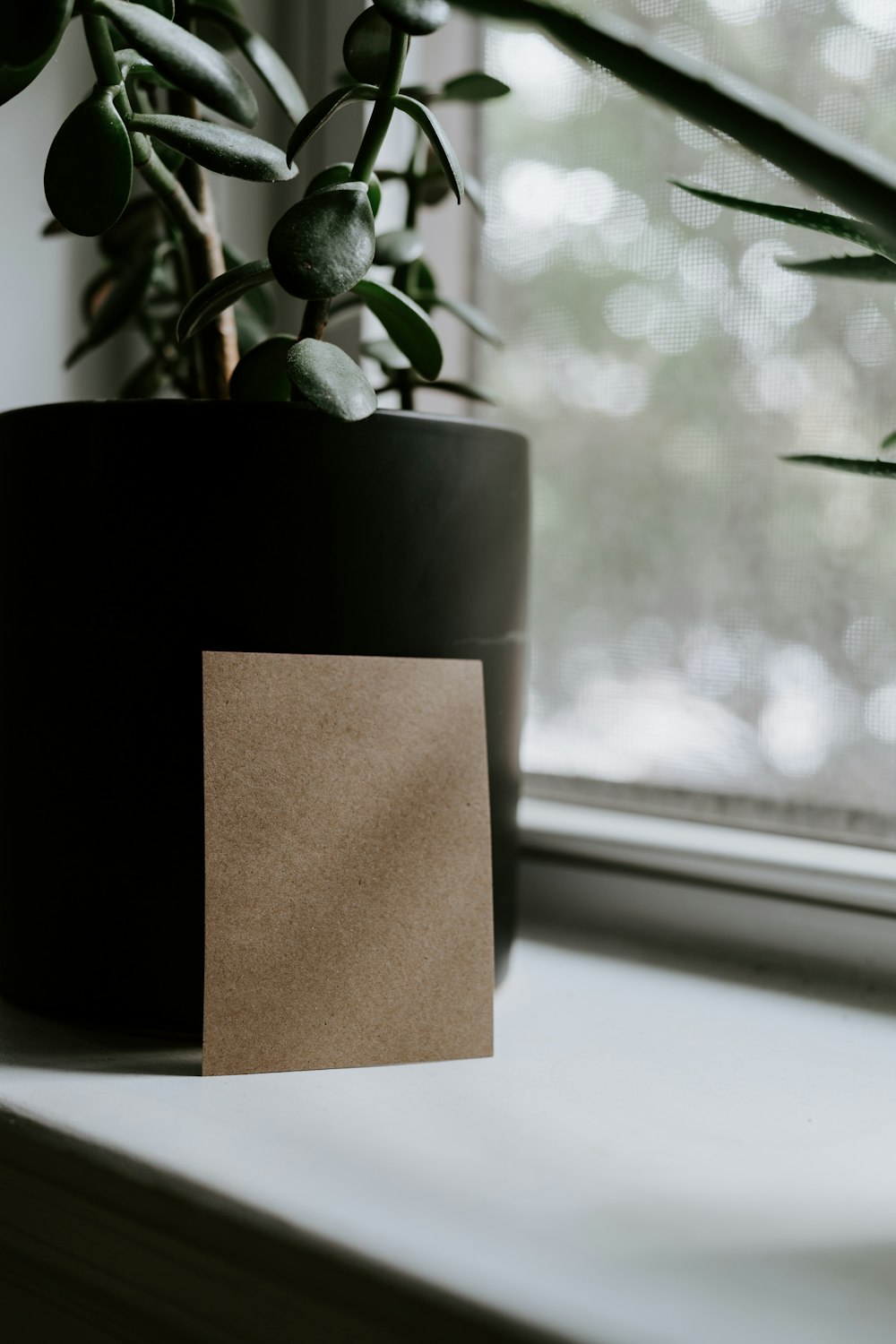 a brown box on a window sill