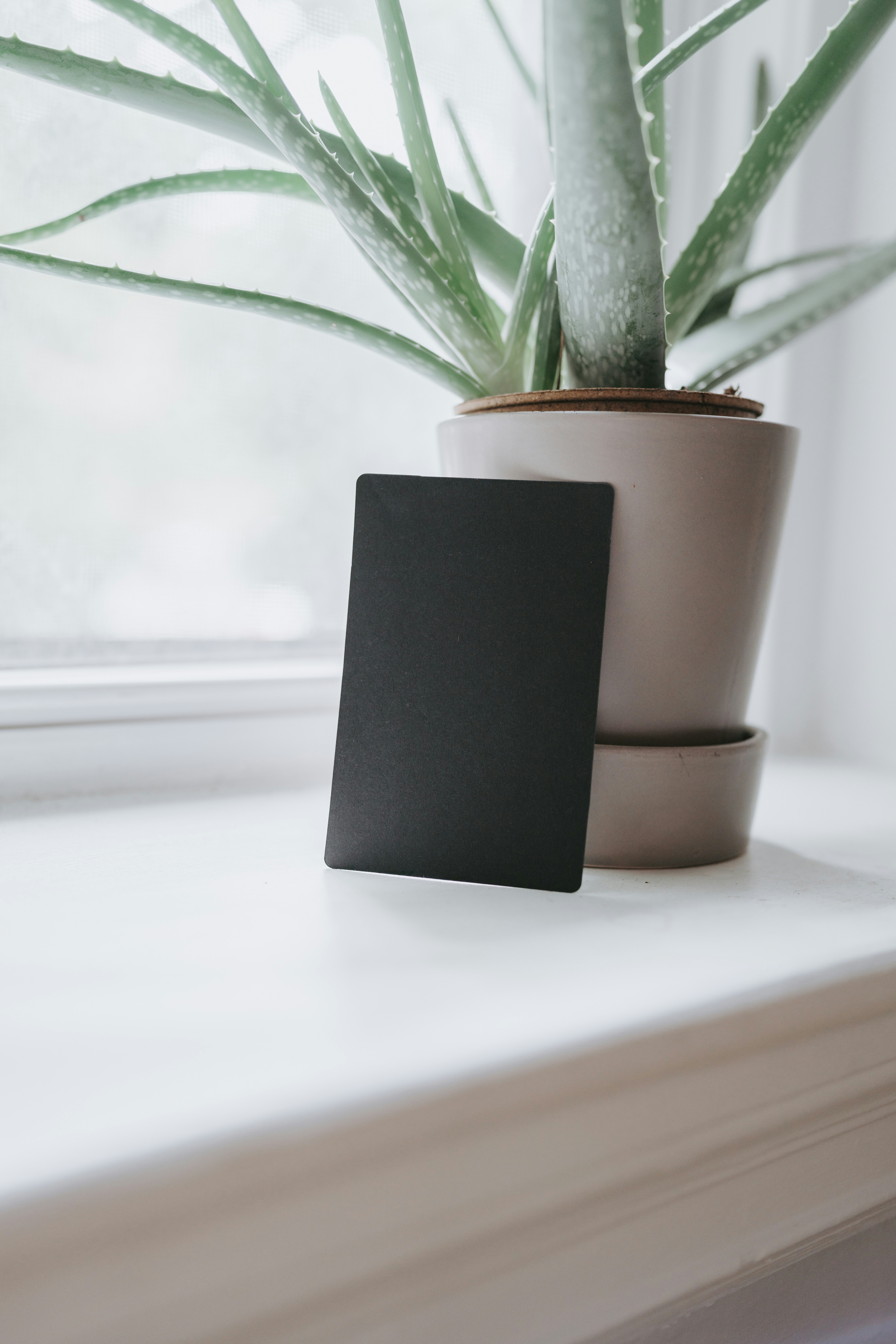 Photo by kellysikkema