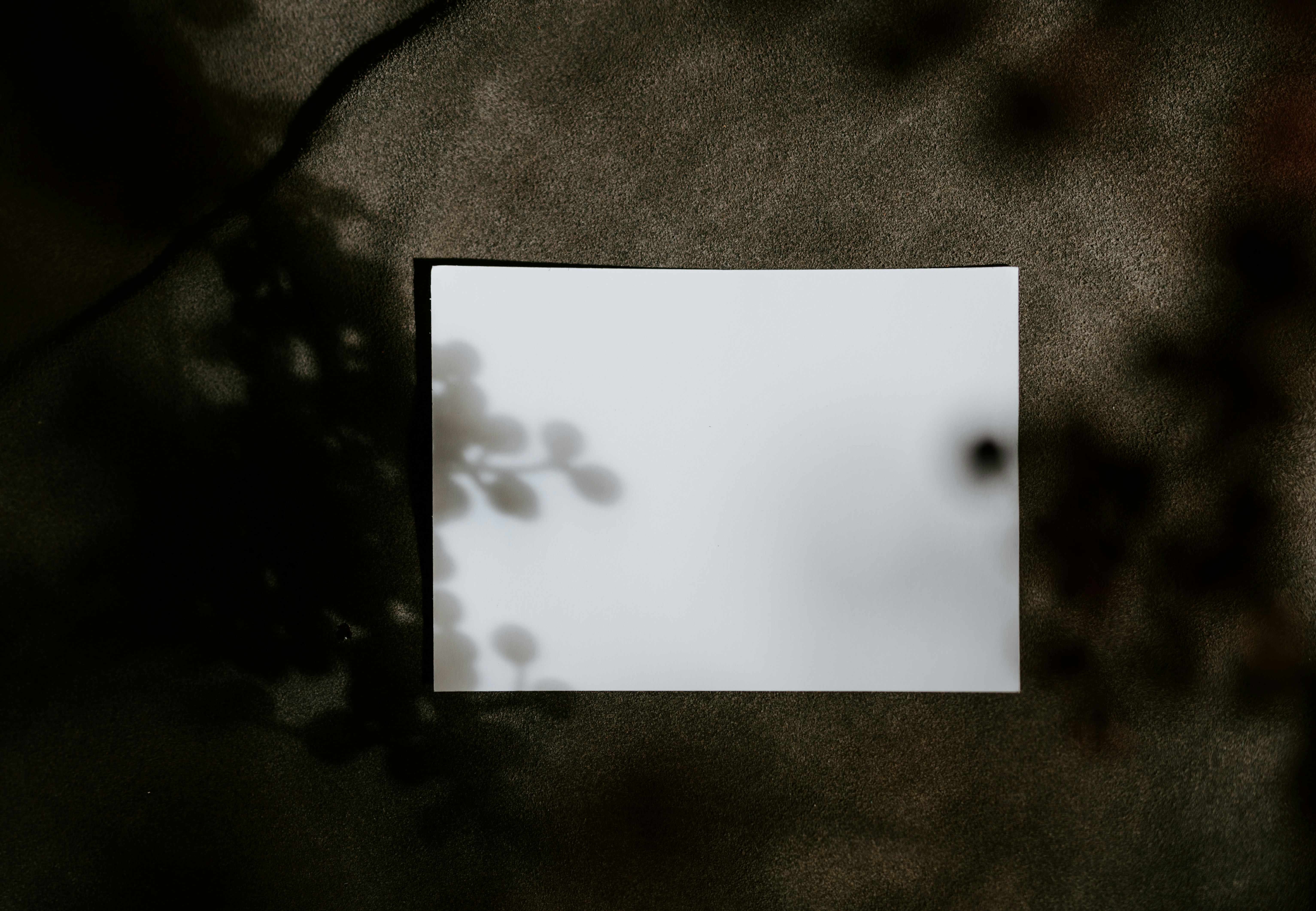 Cell phone cracked screen