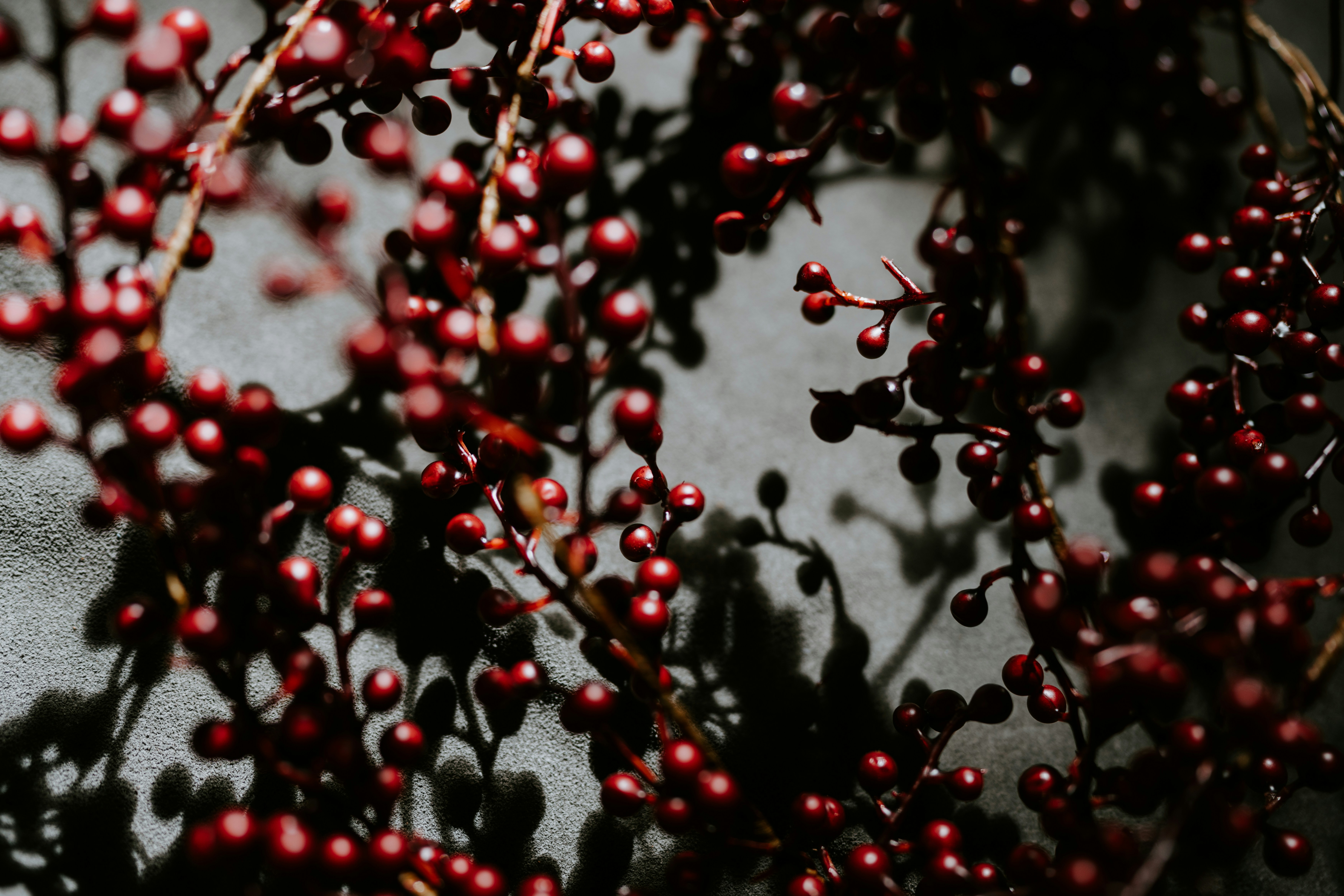 Photo by kellysikkema