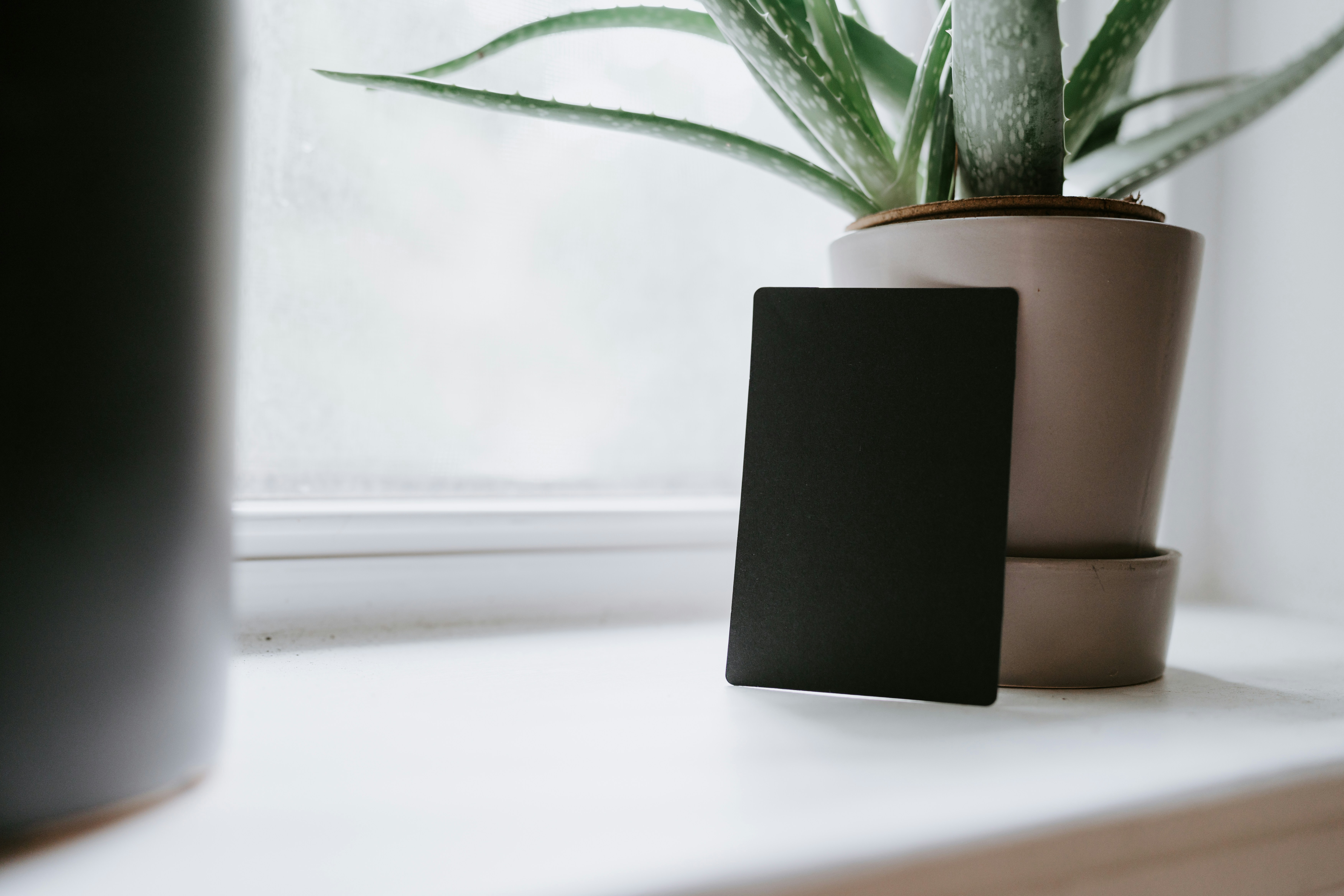 Photo by kellysikkema