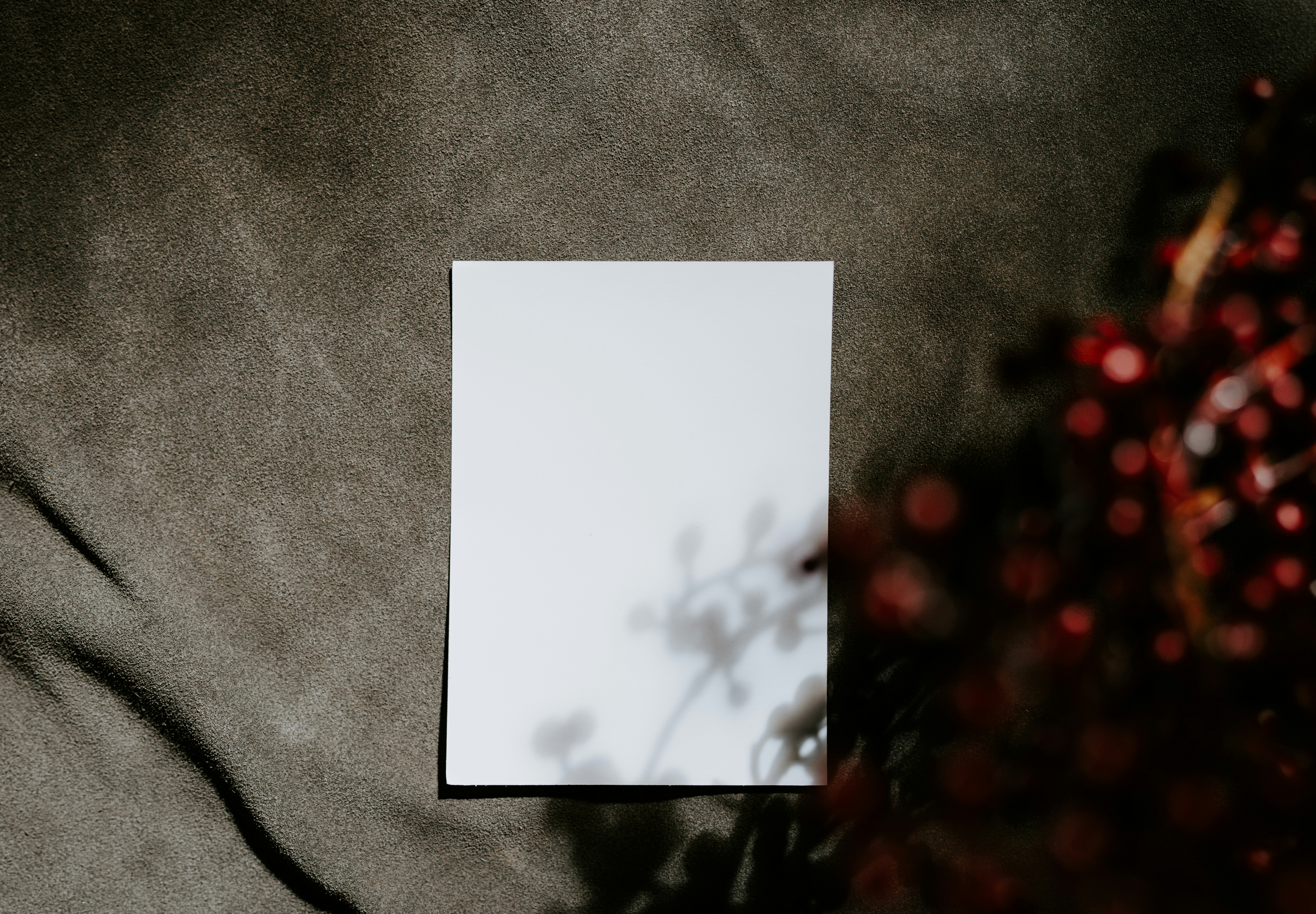 Photo by kellysikkema