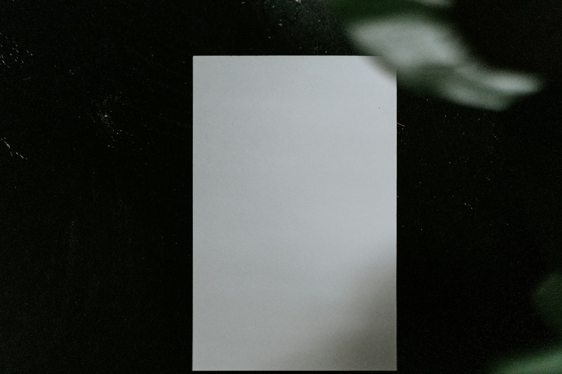 a white square with a black background