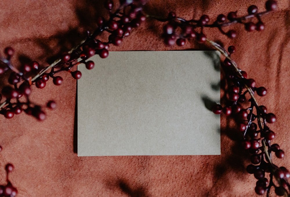 a close-up of a necklace