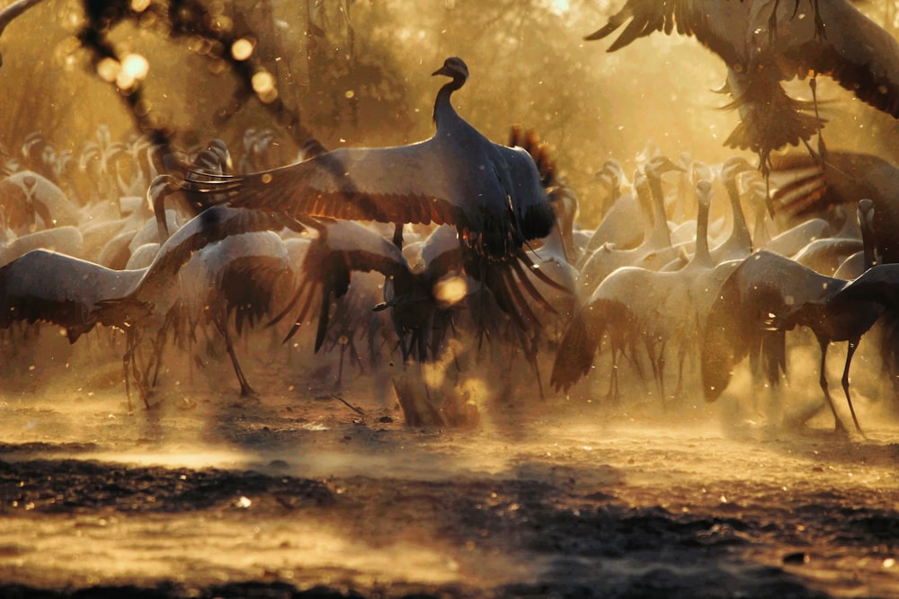 a group of horses running