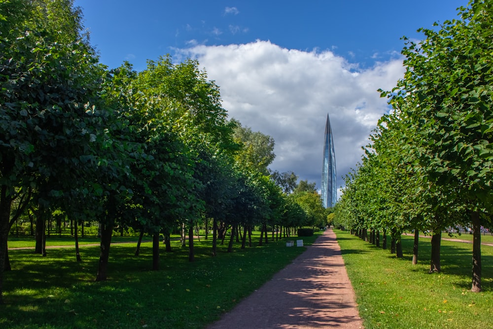 a path through a park with trees and a tall tower in the background