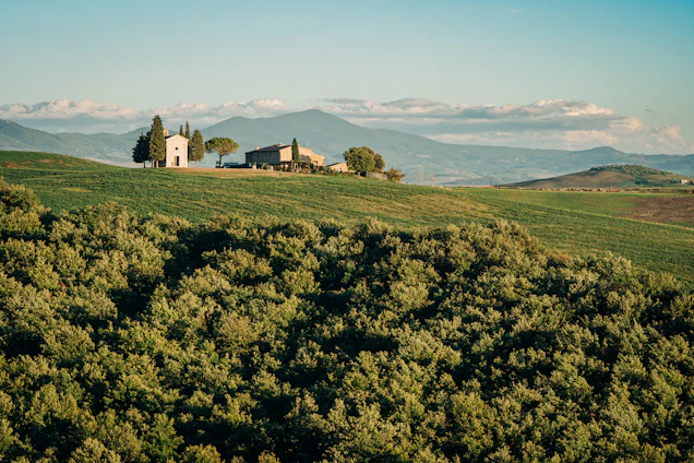A rustic ranch landscape with cattle grazing near a traditional chapel and a garden under a clear blue sky.