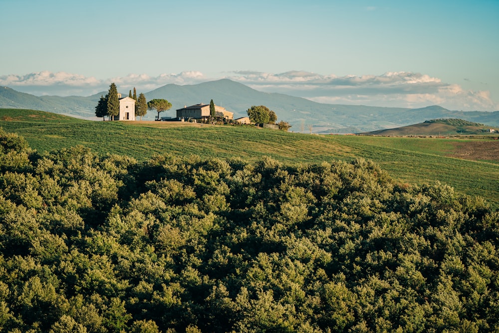 a green field with a house in the distance