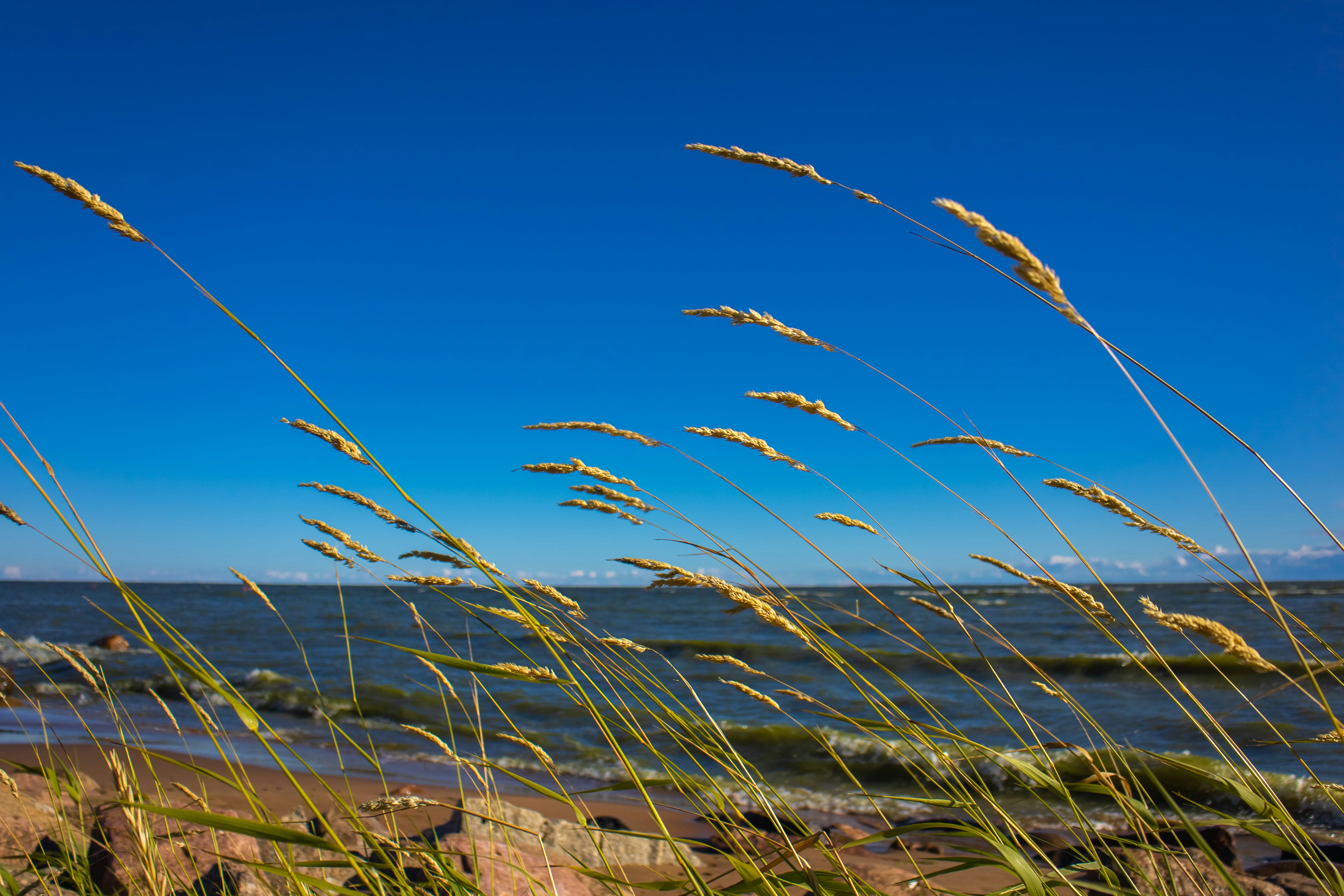 Photo by nikkitenkos